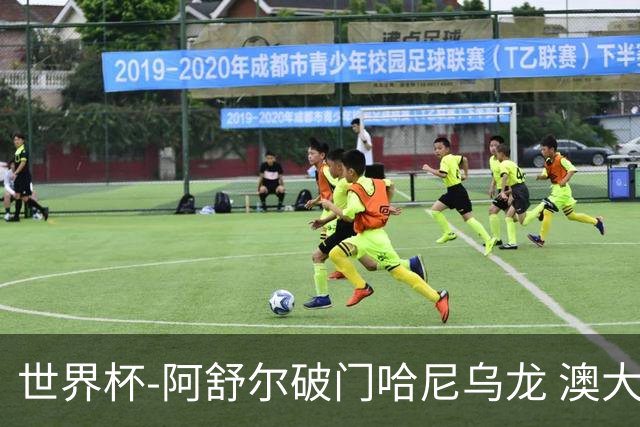 世界杯-阿舒尔破门哈尼乌龙 澳大利亚1-1埃及进加时