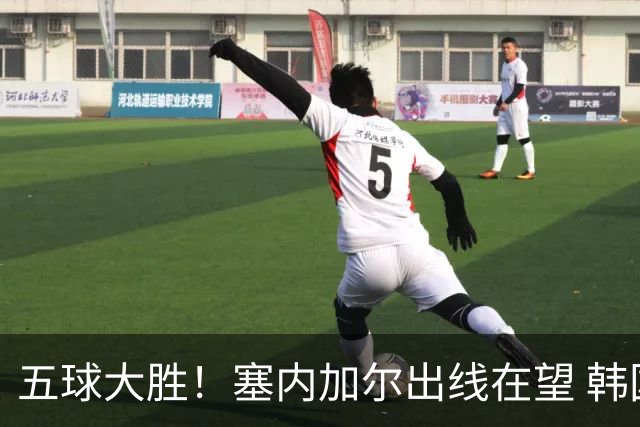 五球大胜！塞内加尔出线在望 韩国晋级仅剩理论希望