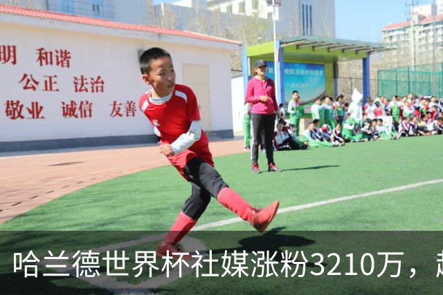 哈兰德世界杯社媒涨粉3210万，超沃齐尼亚所有球员第一