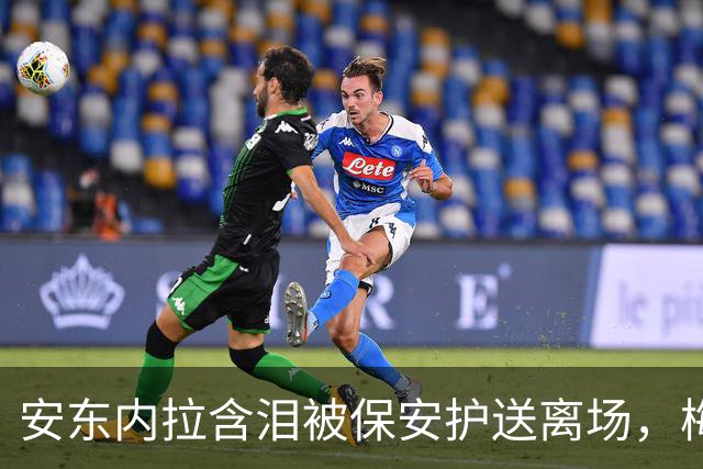 安东内拉含泪被保安护送离场，梅西世界杯决赛再碎