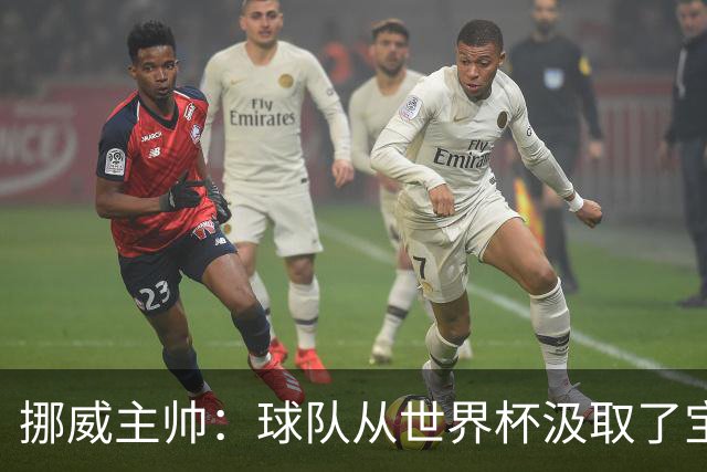 挪威主帅：球队从世界杯汲取了宝贵的经验，能在欧洲杯再攀高峰