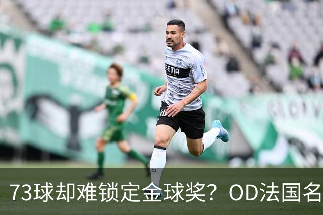 73球却难锁定金球奖？OD法国名宿点出凯恩最大遗憾，世界杯成关键分水岭